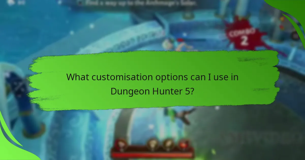 What customisation options can I use in Dungeon Hunter 5?